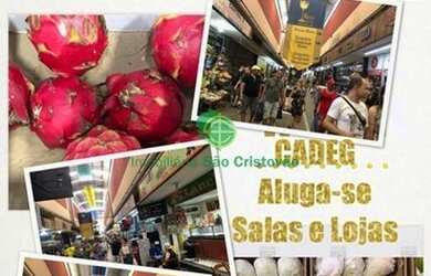 Imagem: O depósito possui 70m² de Área e está localizado em Benfica