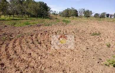Imagem 9: Fazenda à venda, 560 Alqueires por R$ 56.000.000 - Penápolis/SP