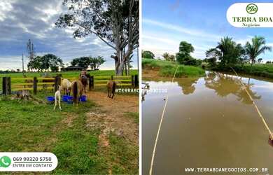 Imagem 3: FAZENDA 210 ALQUEIRES 92 ALQUEIRES ABERTO - ARIQUEMES