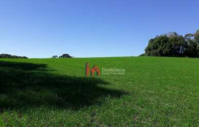 Imagem 1: Área à venda, 15125 m² por R$ 420.000,00 - Fazendinha - Campo Largo/PR