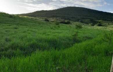 Imagem 2: Terreno a venda. 