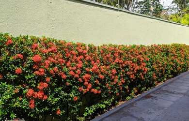 Imagem: A casa possui 4 Dormitórios, 2 Banheiros, 5 Vagas na garagem