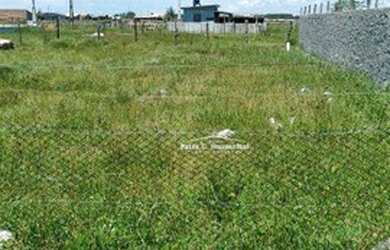 Imagem: O terreno possui 300m² de Área e está localizado em Balneário