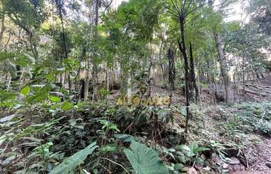 Imagem 14: Terreno à venda, 18748 m² por R$ 8.000.000,00 - Estância Serrana -...