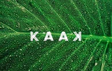 Imagem 3: Kaak Lote Beira Mar Milagres