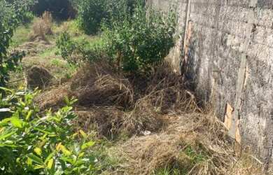 Imagem 7: Excelente terrreno no Jardim das Palmeiras, com 240m² por R$ 150.000