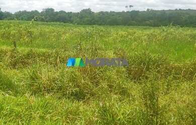 Imagem 2: CORINTO - Fazenda - Zona Rural