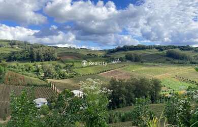 Imagem: O terreno possui 441m² de Área e está localizado em Centro