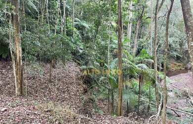 Imagem 13: Terreno à venda, 18748 m² por R$ 8.000.000,00 - Estância Serrana -...