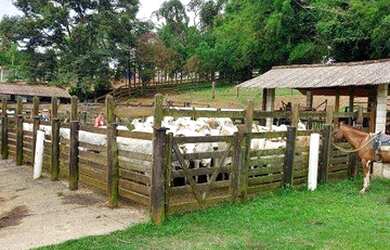 Imagem 8: Fazenda com 4 dormitórios à venda, 968000 m² por R$ 9.000.000,00 -...