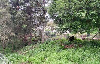 Imagem: O terreno possui 800m² de Área e está localizado em Canela