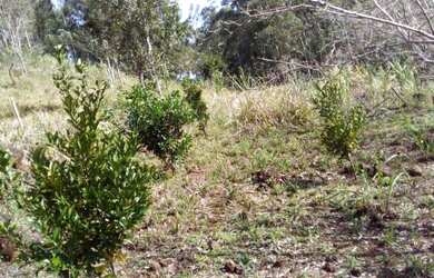 Imagem: A chácara possui 48.400m² de Área e está localizado em