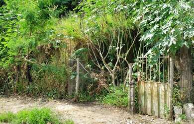 Imagem 4: Lote para venda com 360 metros quadrados em Novo Horizonte - Betim - MG