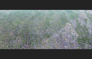 Imagem 8: Fazenda/Sítio/Chácara para venda com 310 ha em - São Gabriel - BA