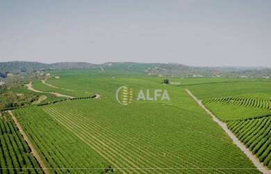 Imagem: A fazenda possui 31871400m² de Área e Imóvel novo e está