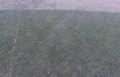 Imagem 3: Fazenda/Sítio/Chácara para venda com 310 ha em - São Gabriel - BA