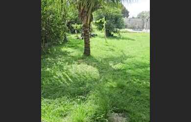 Imagem: A casa possui 3 Dormitórios, 2 Banheiros, 3 Vagas na garagem