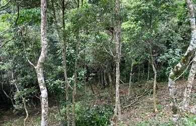 Imagem 5: Terreno / Lote 360m² - Siméria