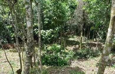 Imagem 15: Terreno / Lote 360m² - Siméria