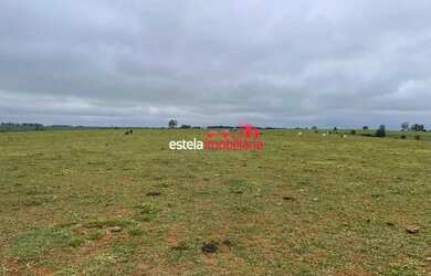 Imagem: A fazenda está localizado em Mirante do Paranapanema, SP à