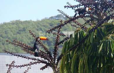 Imagem: O apartamento possui 3 Dormitórios, 3 Banheiros, 1 Vaga na