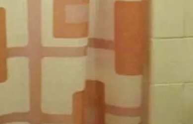 Imagem 7: Apartamento residencial à venda, Protásio Alves, Porto Alegre