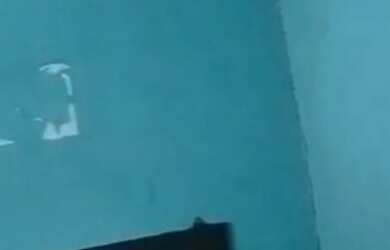 Imagem 7: Casa. 1.000m² de Área, 1 Banheiroe2 Dormitórios