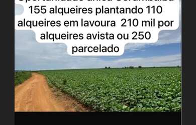 Imagem: A fazenda está localizado em Uberlândia, MG à venda por