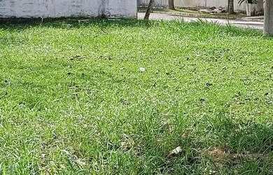 Imagem 9: Terreno de 414 m2 à venda na Ilha de Guaratiba - Rio de Janeiro - RJ