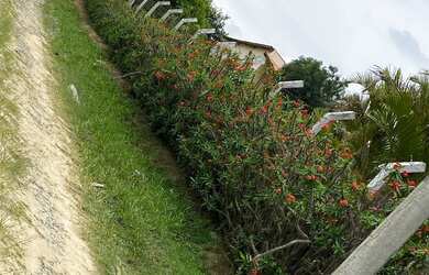 Imagem 13: Venda de terrenos. 500m² de Área