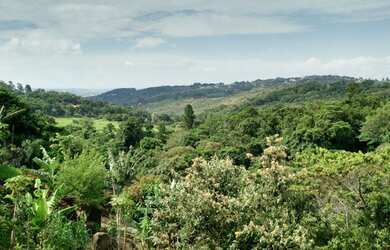 Imagem: O terreno está localizado em Parque Valinhos, Valinhos à venda