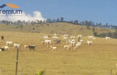 Imagem 12: Fazenda com 4 dormitórios à venda, 968000 m² por R$ 9.000.000,00 -...