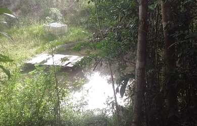 Imagem 14: LINDA FAZENDA EM STA CRUZ CABRALIA pertinho de PORTO SEGURO - BA