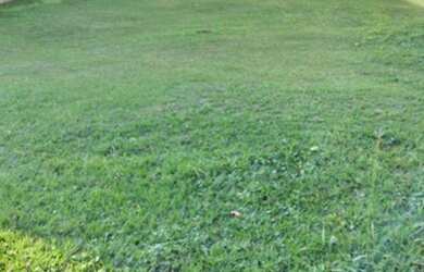 Imagem 2: Terreno à venda, 480 m² por R$ 980.000,00 - Alphaville - Santana de Parnaíba/SP