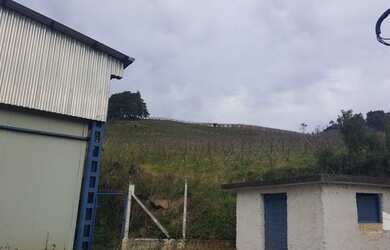Imagem 5: Pinto Bandeira - Galpão/Depósito/Armazém - Zona Rural