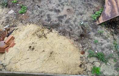 Imagem 8: Lote em Itaoca Praia Esc. Registrada 12.5x20 vendo 1/2 por R$45.000,00