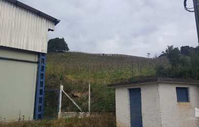 Imagem 8: Pinto Bandeira - Galpão/Depósito/Armazém - Zona Rural