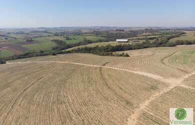 Imagem 5: Ótima fazenda a venda próxima a Rodovia Castelo Branco em Porto Feliz