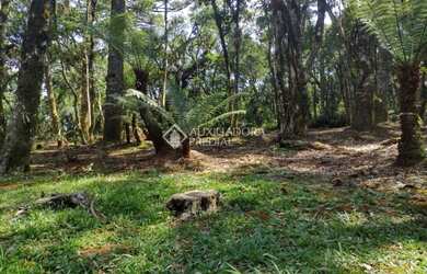 Imagem: O terreno possui 1.110m² de Área e está localizado em Gramado