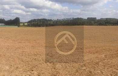 Imagem 1: Área à venda, 174000 m² por R$ 14.000.000,00 - Gralha Azul - Fazenda...