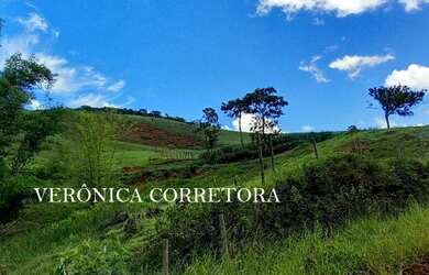 Imagem 5: Ótima fazenda à venda em São João Nepomuceno MG