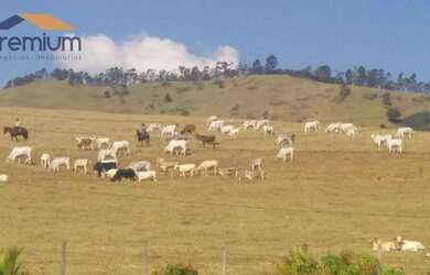 Imagem 1: Fazenda com 4 dormitórios à venda, 968000 m² por R$ 9.000.000,00 -...