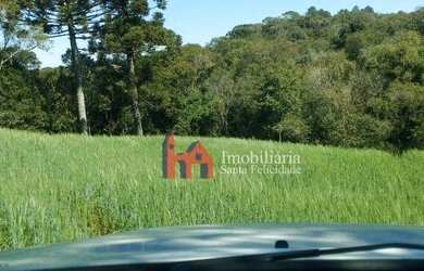 Imagem 14: Área à venda, 15125 m² por R$ 420.000,00 - Fazendinha - Campo Largo/PR