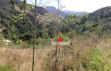 Imagem 2: Terreno à venda, 20000 m² por R$ 360.000,00 - Lumiar - Nova Friburgo/RJ