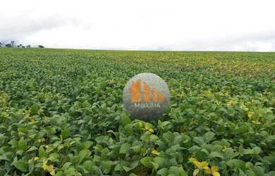 Imagem: A fazenda possui 5808000m² de Área e está localizado em Água