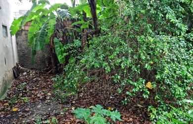 Imagem 4: LOJA COM TERRENO NO ROCHA