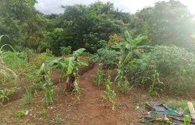 Imagem 4: Chacara jardim são jose