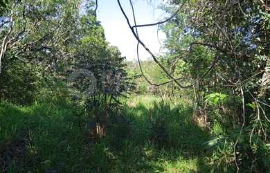 Imagem 5: Senador Canedo - Terreno Padrão - Estância Vargem Bonita