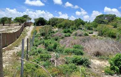 Imagem 3: Lote/Terreno para venda com 375 metros quadrados em Praia de Pipa - Tibau...