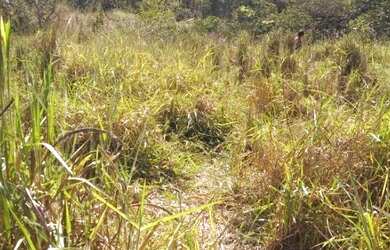 Imagem: O terreno possui 1.500m² de Área, Imóvel novo e está localizado